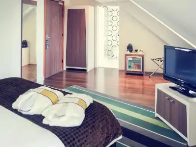 Hôtel Mercure Strasbourg Centre Gare - 63