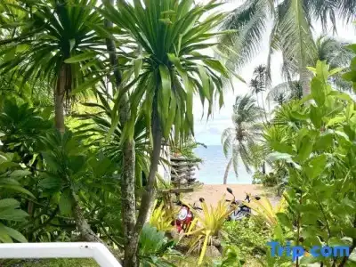 AC 2 Resort - 210