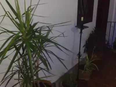 Hostal Pons - 6