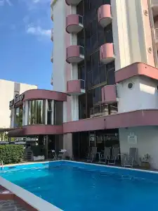 Flamingo - 11