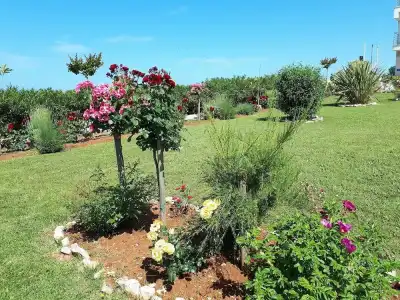Villa Rosetta - 20