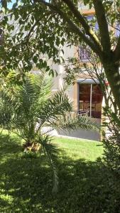 Brit Confort Helios Agde - 4