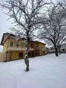 ArtVilla Bakuriani - 0