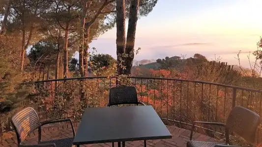 Panoramic - 41