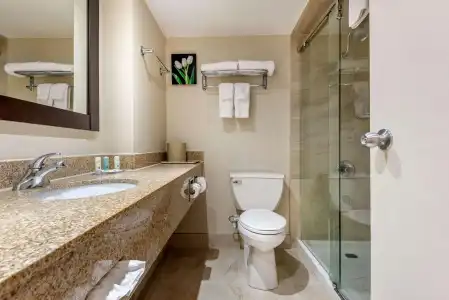 Quality Inn & Suites - 9