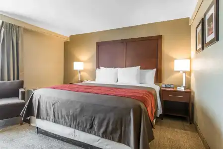 Holiday Inn Express Denver Central North by IHG - 41