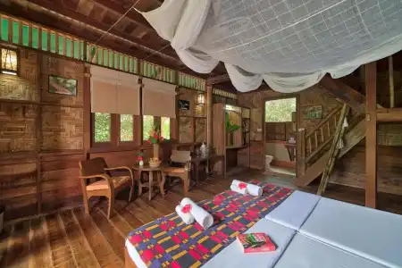 Our Jungle Camp - Eco Resort - 36