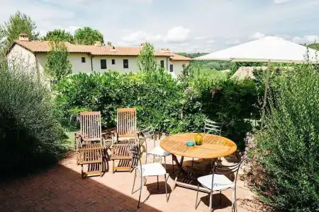Gatto Bianco Tizzauli - 40