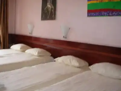 Manofa - 31