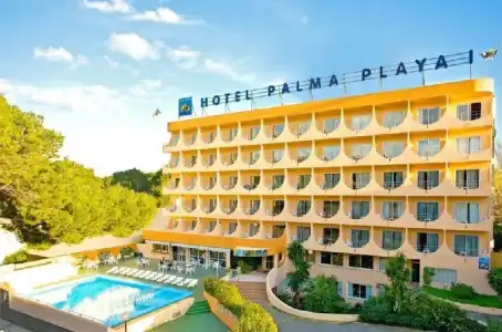 Vibra Palma Cactus - 39