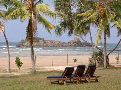 The Palms - 8
