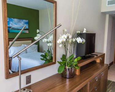 Hampton by Hilton Santo Domingo Airport - 49