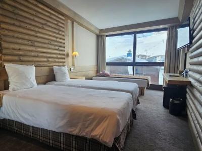 Hôtel Le Ski d'Or - 47