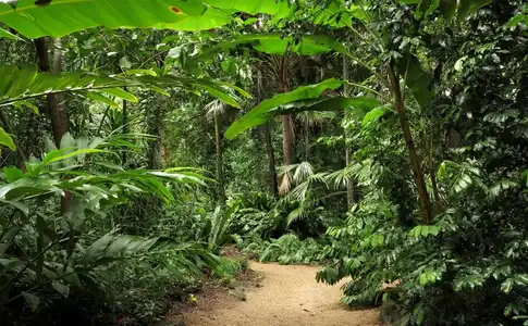 Cairns Aquarius - 17
