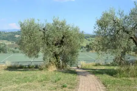 Tenuta Pizzogallo - 85