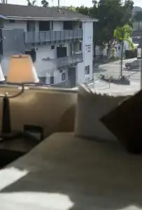 Orange Tree Inn - 43