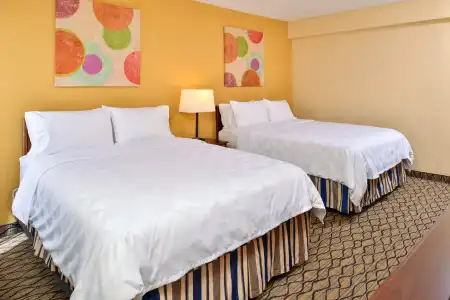 Holiday Inn & Suites Chicago - Downtown by IHG - 40