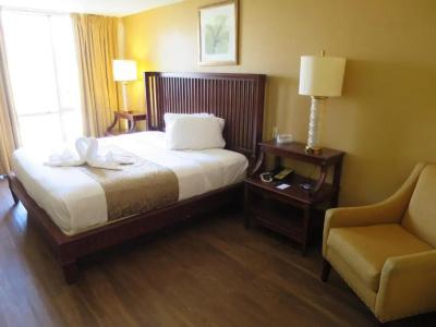 B&B Orlando International Drive Near Universal - Newly Renovated! - 50