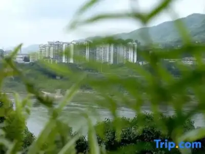 Wuyu (Chongqing Jinyun Mountain, Southwest University) - 56