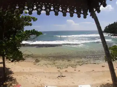 Coral Beach - 11