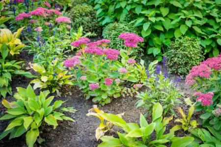 Garden Camping - 34
