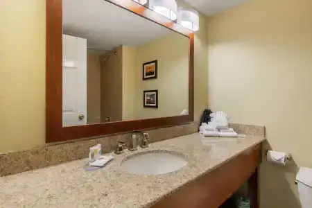 Comfort Inn & Suites SW Houston Sugarland - 7
