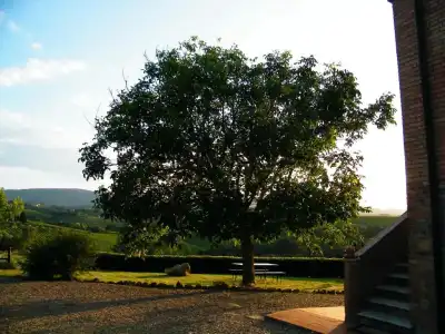 Agriturismo Montegonfoli - 102