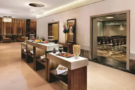 The Ritz-Carlton, Vienna - 47