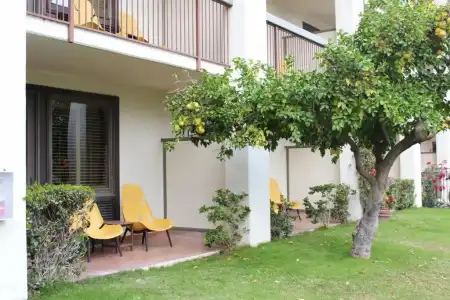 Palm Mountain Resort and Spa - 73