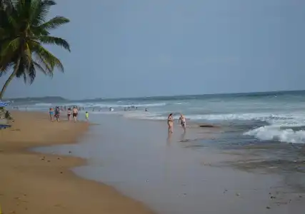 Paradiso - 18