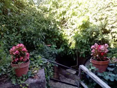 B&B Villa Lidia - 92