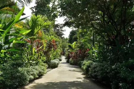 Rainforest Resort Phu Quoc - 18