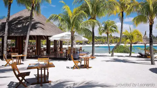 Tropical Attitude - Adults only - 7