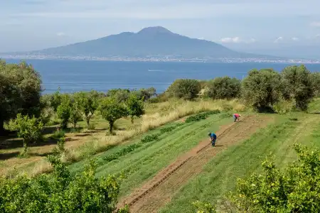 Relais Regina Giovanna - 32
