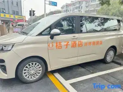 Orange - 12
