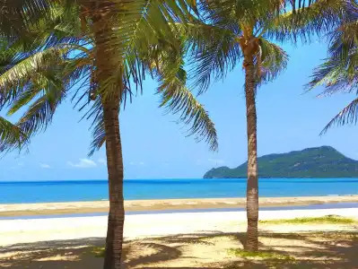 Namaste resort - 8