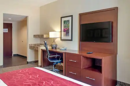 Comfort Suites Fredericksburg North - 111