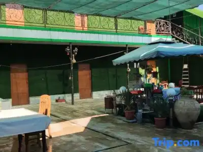 Green House - 96
