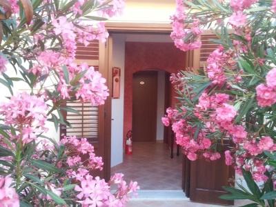 Trigrana Vacanze - 67