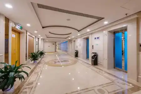 Vienna International Shenzhen North Station Branch - 9