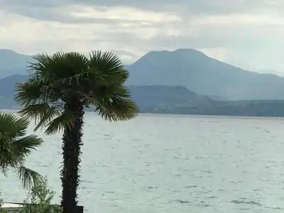 Villa Rosa - 87