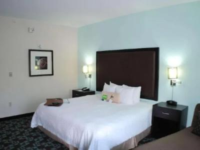 Hampton Inn & Suites Nashville @ Opryland - 86