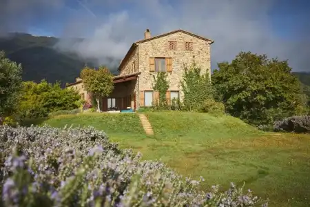 Boschi di Montecalvi - Guest House - 218