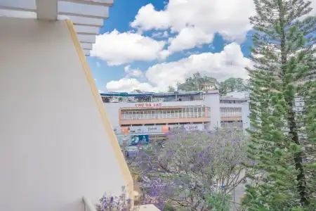 Nice Dream Dalat - 155