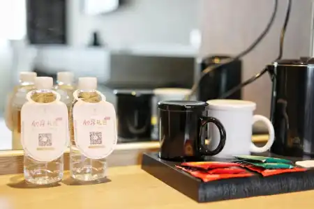 Jinjiang Metropolo Hua Ting Guest House - 34