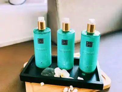 Novotel Spa Rennes Centre Gare - 84