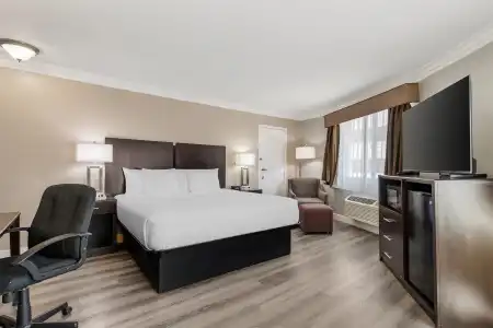 Best Western Plus LA Mid Town - 52