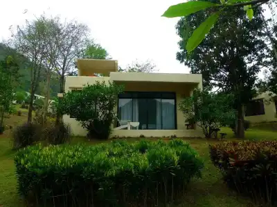 Hi - Scene Resort - 83