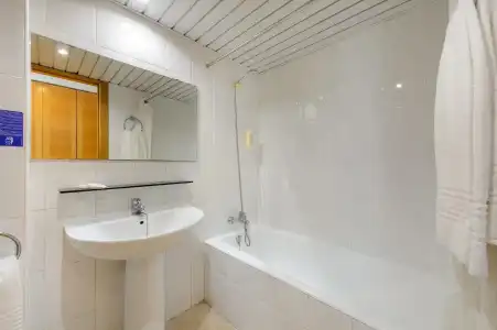 Vibra Palma Cactus - 16