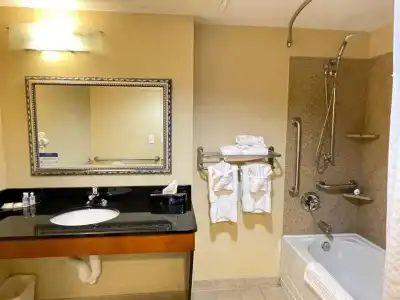 Comfort Suites Fredericksburg North - 43